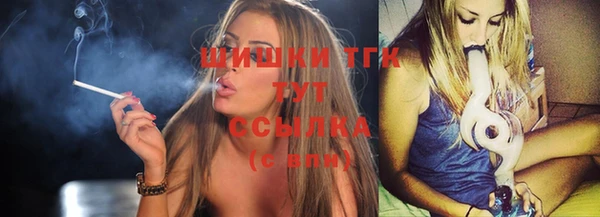 spice Елизово