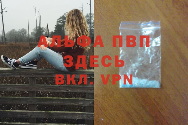 spice Елизово