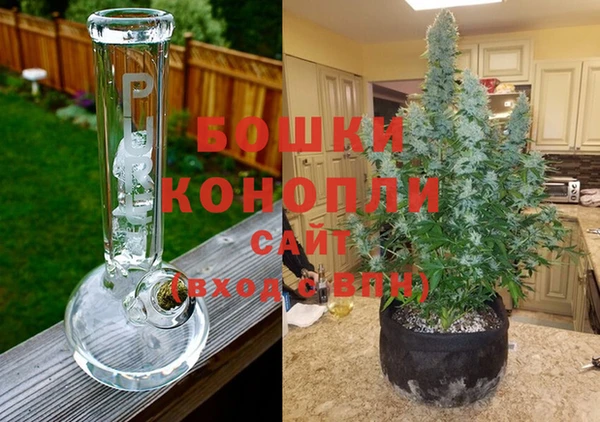 эйфоретик Ельня