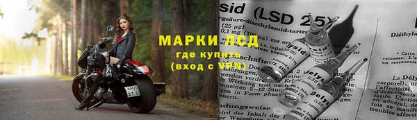 spice Елизово