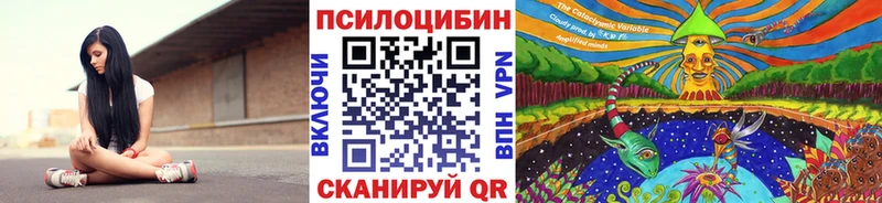 Псилоцибиновые грибы Magic Shrooms  блэк спрут ONION  Каменка 